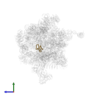 40S ribosomal protein S16-like protein in PDB entry 6rxt, assembly 1, side view.