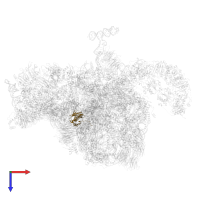 40S ribosomal protein S16-like protein in PDB entry 6rxt, assembly 1, top view.
