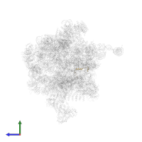 Utp16 in PDB entry 6rxt, assembly 1, side view.