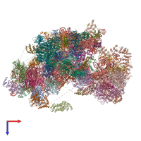 PDB entry 6rxu coloured by chain, top view.