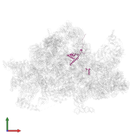 Faf1 in PDB entry 6rxu, assembly 1, front view.