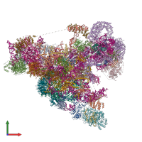 PDB entry 6rxz coloured by chain, front view.