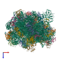 PDB entry 6rzz coloured by chain, top view.