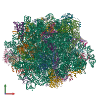 PDB entry 6s05 coloured by chain, front view.