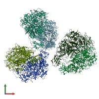 PDB entry 6s3u coloured by chain, front view.