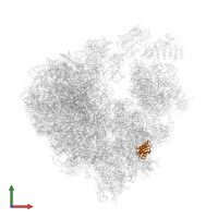 Small ribosomal subunit protein uS8A in PDB entry 6s47, assembly 1, front view.