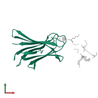 Calcium-mediated lectin domain-containing protein in PDB entry 6s5s, assembly 1, front view.