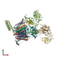PDB entry 6s7o coloured by chain, front view.