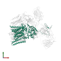 Dolichyl-diphosphooligosaccharide--protein glycosyltransferase subunit STT3B in PDB entry 6s7t, assembly 1, front view.
