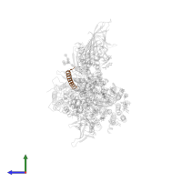 Dolichyl-diphosphooligosaccharide--protein glycosyltransferase subunit 4 in PDB entry 6s7t, assembly 1, side view.