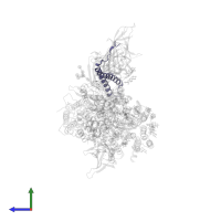 Transmembrane protein 258 in PDB entry 6s7t, assembly 1, side view.