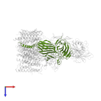 Dolichyl-diphosphooligosaccharide--protein glycosyltransferase subunit 1 in PDB entry 6s7t, assembly 1, top view.
