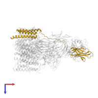 Dolichyl-diphosphooligosaccharide--protein glycosyltransferase subunit 2 in PDB entry 6s7t, assembly 1, top view.