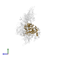 Dolichyl-diphosphooligosaccharide--protein glycosyltransferase 48 kDa subunit in PDB entry 6s7t, assembly 1, side view.