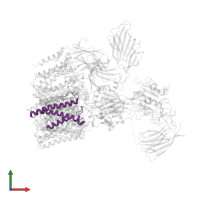 Magnesium transporter protein 1 in PDB entry 6s7t, assembly 1, front view.