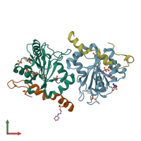 PDB entry 6s8s coloured by chain, front view.