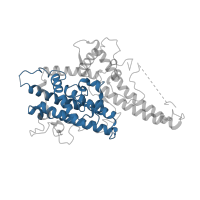 The deposited structure of PDB entry 6s8u contains 1 copy of Pfam domain PF05424 (Duffy binding domain) in Erythrocyte membrane protein 1. Showing 1 copy in chain A.