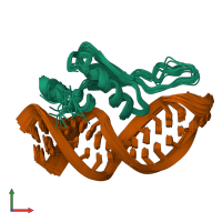 PDB entry 6sdy coloured by chain, ensemble of 20 models, front view.