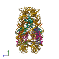 Hetero decameric assembly 1 of PDB entry 6se0 coloured by chemically distinct molecules, side view.