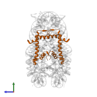 Histone H4 in PDB entry 6se0, assembly 1, side view.