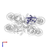 Histone H2A type 2-A in PDB entry 6se0, assembly 1, top view.