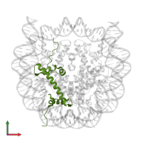 Histone H2A type 2-A in PDB entry 6se0, assembly 1, front view.