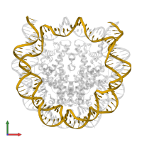 DNA (145-MER) in PDB entry 6se0, assembly 1, front view.