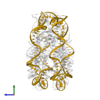 DNA (145-MER) in PDB entry 6se0, assembly 1, side view.