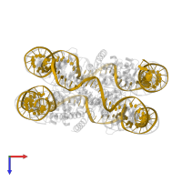 DNA (145-MER) in PDB entry 6se0, assembly 1, top view.