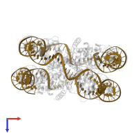 DNA (145-MER) in PDB entry 6se0, assembly 1, top view.