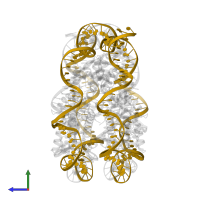 DNA (145-MER) in PDB entry 6seg, assembly 1, side view.