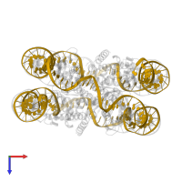 DNA (145-MER) in PDB entry 6seg, assembly 1, top view.