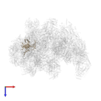 mt-SAF8 in PDB entry 6sgb, assembly 1, top view.