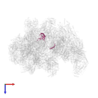 uS11m in PDB entry 6sgb, assembly 1, top view.