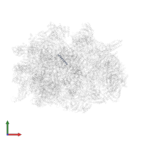 UNK-e in PDB entry 6sgb, assembly 1, front view.