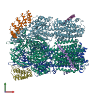 PDB entry 6sgs coloured by chain, front view.