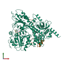 PDB entry 6sh6 coloured by chain, front view.