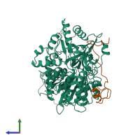 PDB entry 6sh7 coloured by chain, side view.
