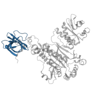 The deposited structure of PDB entry 6sjc contains 2 copies of Pfam domain PF01336 (OB-fold nucleic acid binding domain) in Aspartate--tRNA(Asp) ligase. Showing 1 copy in chain B.