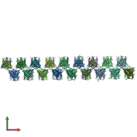 PDB entry 6sjj coloured by chain, front view.