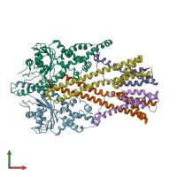 PDB entry 6so5 coloured by chain, front view.