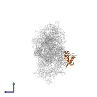 Small ribosomal subunit protein uS2 in PDB entry 6spc, assembly 1, side view.