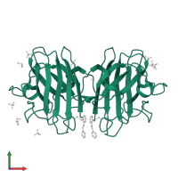 Superoxide dismutase [Cu-Zn] in PDB entry 6spj, assembly 2, front view.