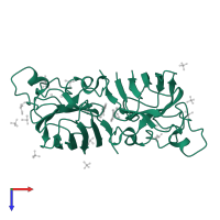 Superoxide dismutase [Cu-Zn] in PDB entry 6spj, assembly 2, top view.