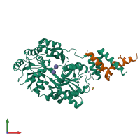 PDB entry 6sqc coloured by chain, front view.