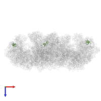 Large ribosomal subunit protein eL20A in PDB entry 6sv4, assembly 1, top view.