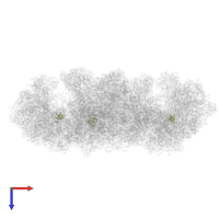 Large ribosomal subunit protein uL14A in PDB entry 6sv4, assembly 1, top view.