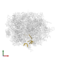 Large ribosomal subunit protein eL13 in PDB entry 6swa, assembly 1, front view.