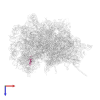 Ubiquitin-ribosomal protein eL40 fusion protein in PDB entry 6swa, assembly 1, top view.