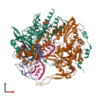 PDB entry 6t0w coloured by chain, front view.